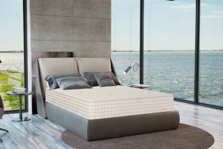 Plushbeds The Botanical Bliss Organic Latex Queen Mattress