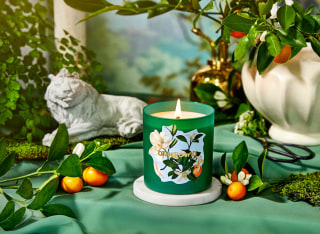 Otherland Verdant Verve Candle
