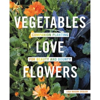 Vegetables Love Flowers