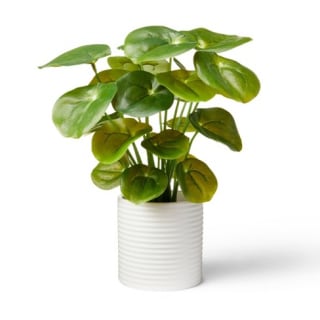 Hilton Carter for Target Artificial Pilea Plant