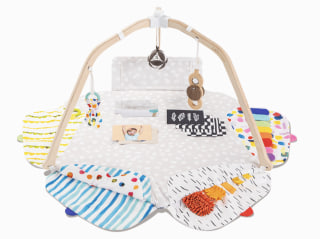Lovevery The Play Gym