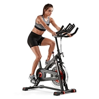 Schwinn IC3 Indoor Exercise Bike