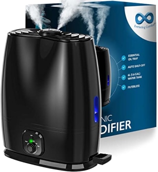 Everlasting Comfort Cool Mist Humidifier