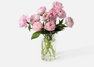 UrbanStems The Peony