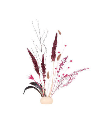 Shida Preserved Flowers Wren Ikebana Kit