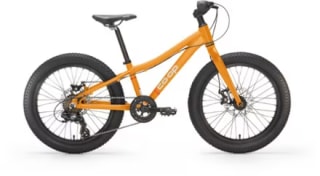 Co-op Cycles REV 20 6-Speed Plus Kids Bike