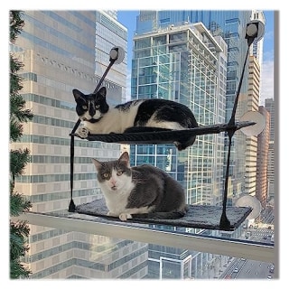 K&H Pet Products EZ Mount Window Sill Cat Bed