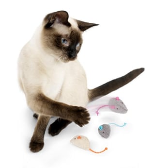 SmartyKat Skitter Critters