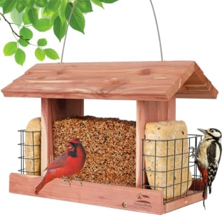 Solution4Patio Cedar Bird Feeder 