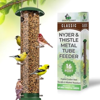 Gray Bunny Thistle & Nyjer Bird Feeder