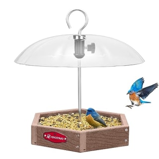 Kingsyard Platform Bird Feeder