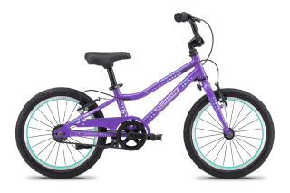 Guardian 16 Inch Bike