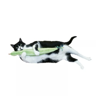 Imperial Cat Slither ‘N Snake Catnip Cat Toy