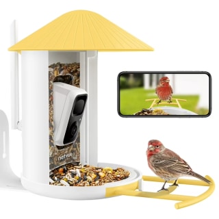 Netvue Birdfy Smart Bird Feeder