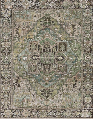 Mistana Albion Oriental Area Rug
