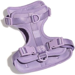 Wild One Dog Harness