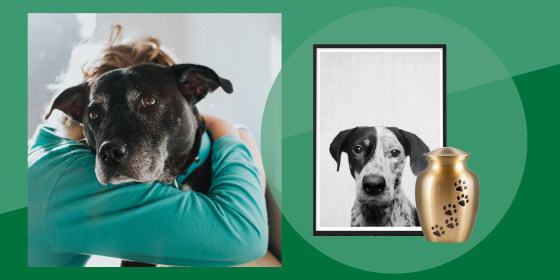 Not sure what to gift a loved one who lost a pet? Here are nine touching gift ideas to help celebrate the life of beloved pets.