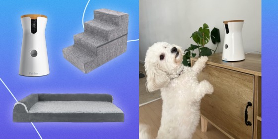 Illustration of a white dog playing with a Furbo Camera, a dog bed, pet stairs and a Furbo