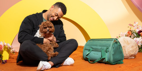 Consumer demand for accessories to keep pets happy, healthy and entertained has turned pet products into one of the fastest-growing industries.