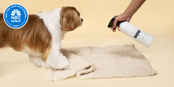 These seven winners removed pet stains and kept our homes smelling fresh and looking clean.