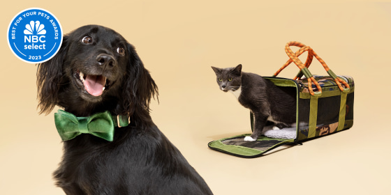 Learn more about how we chose our winners for the Select Best for Your Pet Awards 2023.