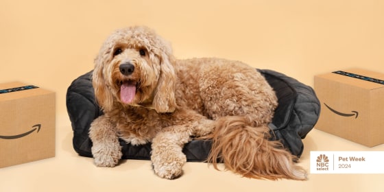 The two-day sale, which ends tonight, has tons of discounts on popular pet brands, including Purina and Furbo.