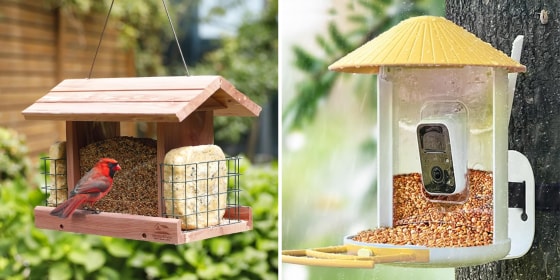 Different feeders will attract different types of birds, according to our experts.