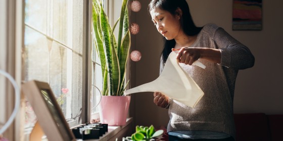 Buying plants online can be a convenient way to try new species, or finally find the bloom you’ve been looking for.