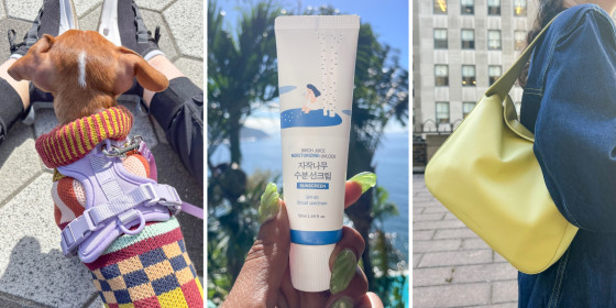 Some of our most favorite items from March include a padded dog harness from Wild One, a K-beauty sunscreen  and a spring-friendly shoulder bag from Minor History.