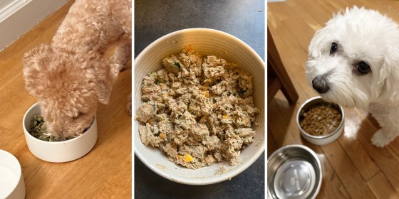 When shopping for a dog food delivery service, consider whether it meets AAFCO standards and your dog’s specific dietary needs.