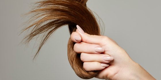 Key terms include hair type, hair texture, hair porosity and hair density. 