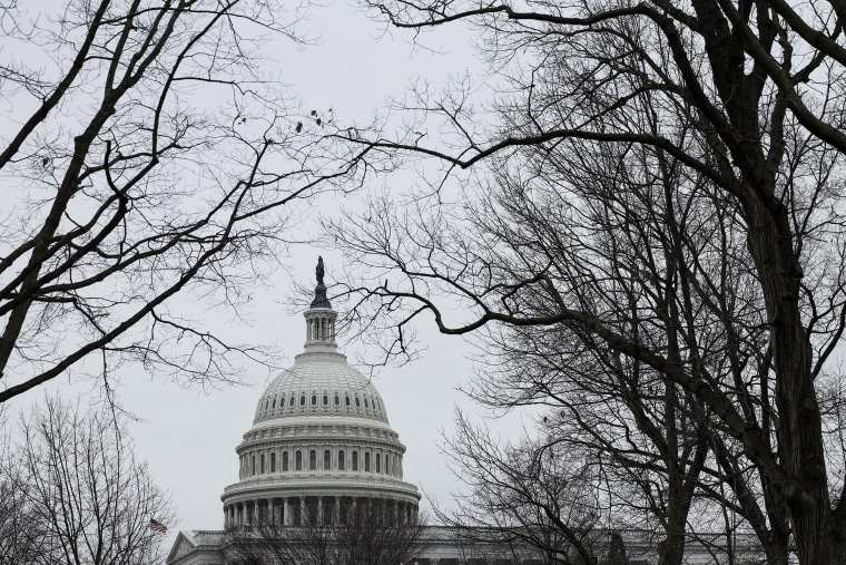 The U.S. Capitol Building is seen on January 19, 2023 in Washington, DC. U.S. Treasury Secretary Janet Yellen warned Republican and Democratic leaders that the federal government will reach its limit on the amount of money it is able to borrow, and that further action by lawmakers is needed by June 5th when the U.S. could go into economic default.